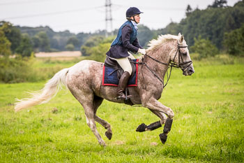 13 - Jagd Schnellenberg