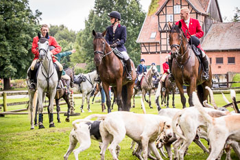 13 - Jagd Schnellenberg