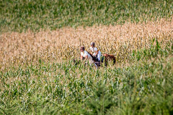 14 - Jagd Kleefeld 14 - Jagd Kleefeld