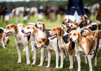 15 - Jugendjagd Marienau