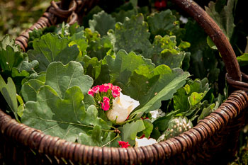 15 - Jugendjagd Marienau