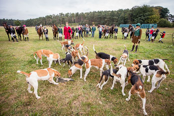 15 - Jugendjagd Marienau