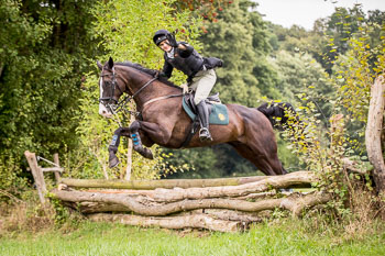 16 - Jagd Dreilingen