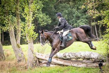 16 - Jagd Dreilingen