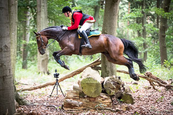 16 - Jagd Dreilingen