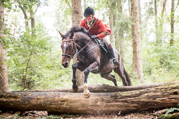 16 - Jagd Dreilingen