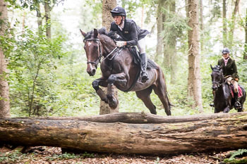 16 - Jagd Dreilingen