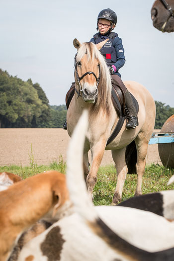 17 - Jugendjagd Basthorst