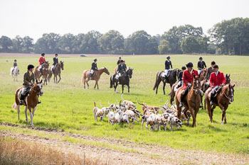 17 - Jugendjagd Basthorst 17 - Jugendjagd Basthorst