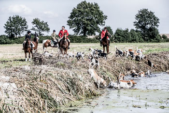 17 - Jugendjagd Basthorst 17 - Jugendjagd Basthorst