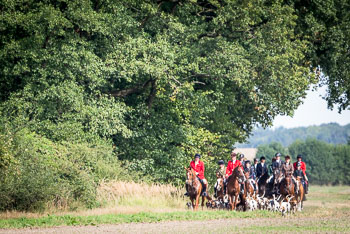 17 - Jugendjagd Basthorst 17 - Jugendjagd Basthorst