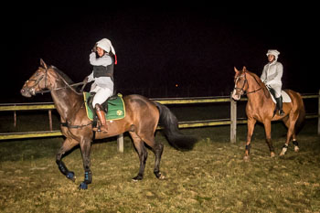 18 - Moonlight-Cup Schnede