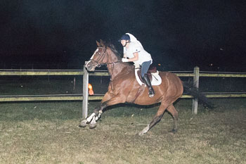 18 - Moonlight-Cup Schnede 18 - Moonlight-Cup Schnede