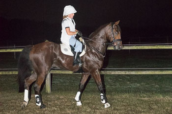 18 - Moonlight-Cup Schnede