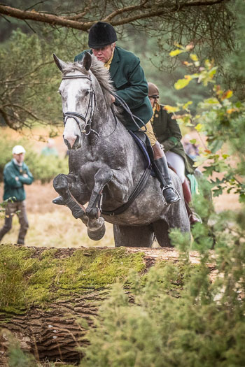 19 - Sko-Jagd Rehrhof