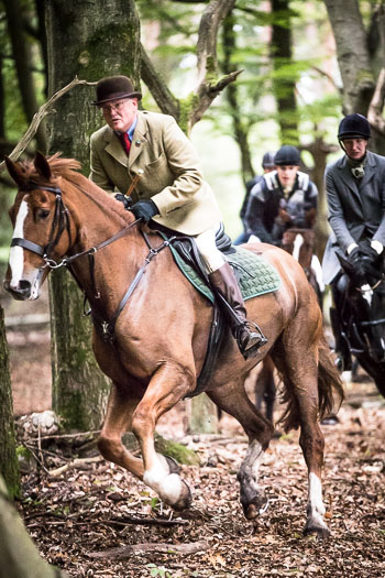 19 - Sko-Jagd Rehrhof