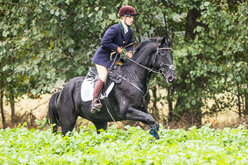 21 - Jagd Grabow 21 - Jagd Grabow