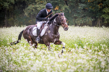 21 - Jagd Grabow 21 - Jagd Grabow