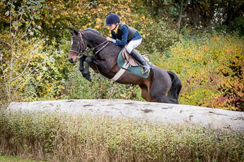 23 - Jagd Isernhagen 23 - Jagd Isernhagen