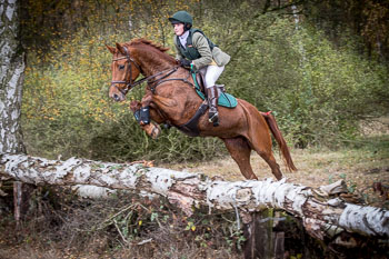 23 - Jagd Isernhagen 23 - Jagd Isernhagen