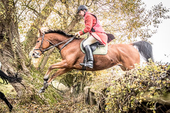 24 - Jagd Thedinghausen