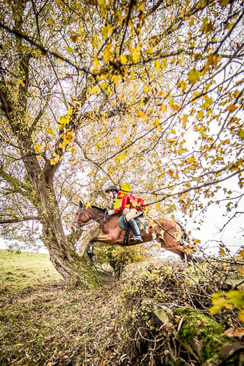 24 - Jagd Thedinghausen