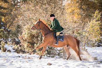 25 - Jagd Hermannsburg