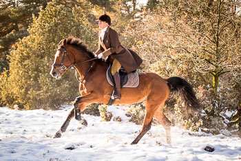 25 - Jagd Hermannsburg