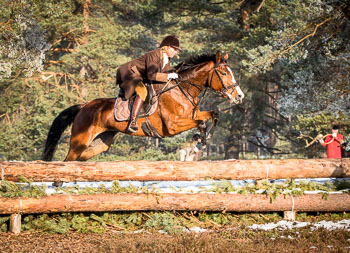 25 - Jagd Hermannsburg