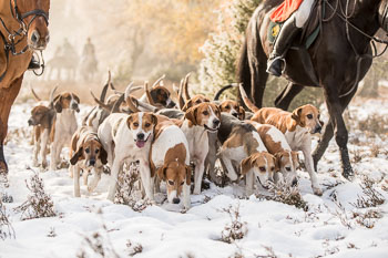 25 - Jagd Hermannsburg