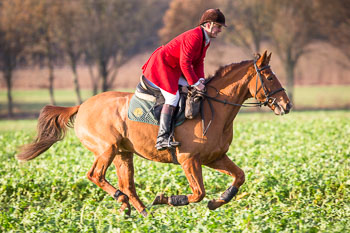 26 - Jagd Ehlbeck 26 - Jagd Ehlbeck