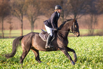 26 - Jagd Ehlbeck 26 - Jagd Ehlbeck