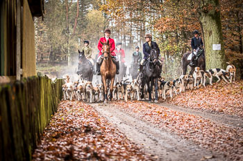 26 - Jagd Ehlbeck 26 - Jagd Ehlbeck