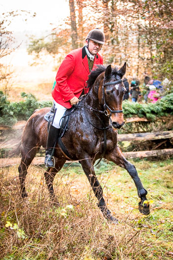 28 - Jagd Toppenstedt