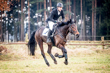 28 - Jagd Toppenstedt