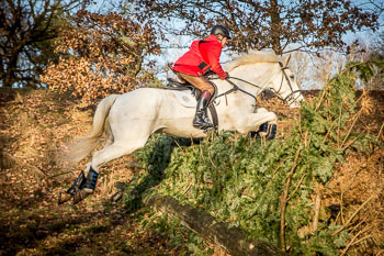 29 - Nikolausjagd Sudermühlen