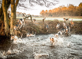 29 - Nikolausjagd Sudermühlen