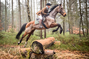 30 - Jagd Wense 30 - Jagd Wense