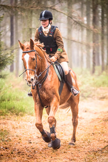 30 - Jagd Wense 30 - Jagd Wense
