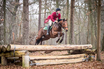 30 - Jagd Wense 30 - Jagd Wense
