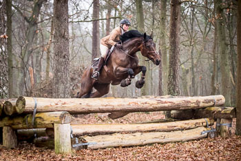 30 - Jagd Wense 30 - Jagd Wense