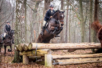 30 - Jagd Wense 30 - Jagd Wense