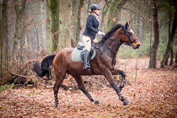 30 - Jagd Wense