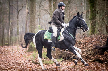 30 - Jagd Wense