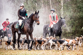 30 - Jagd Wense 30 - Jagd Wense