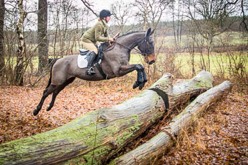 31 - Jagd Ehlbeck 31 - Jagd Ehlbeck
