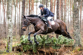 31 - Jagd Ehlbeck 31 - Jagd Ehlbeck