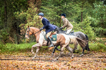 31 - Jagd Ehlbeck 31 - Jagd Ehlbeck