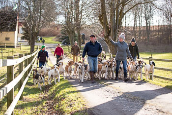 33 - Walking the Hounds 33 - Walking the Hounds