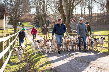 33 - Walking the Hounds